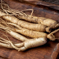 PANAX GINSENG ROOT EXTRACT: